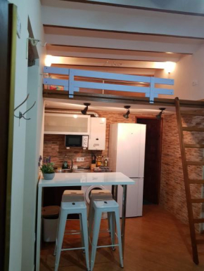Magnifico Apartamento tipo Dúplex en Triana